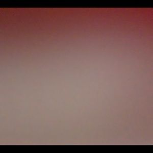 Meet your Posher, Bee